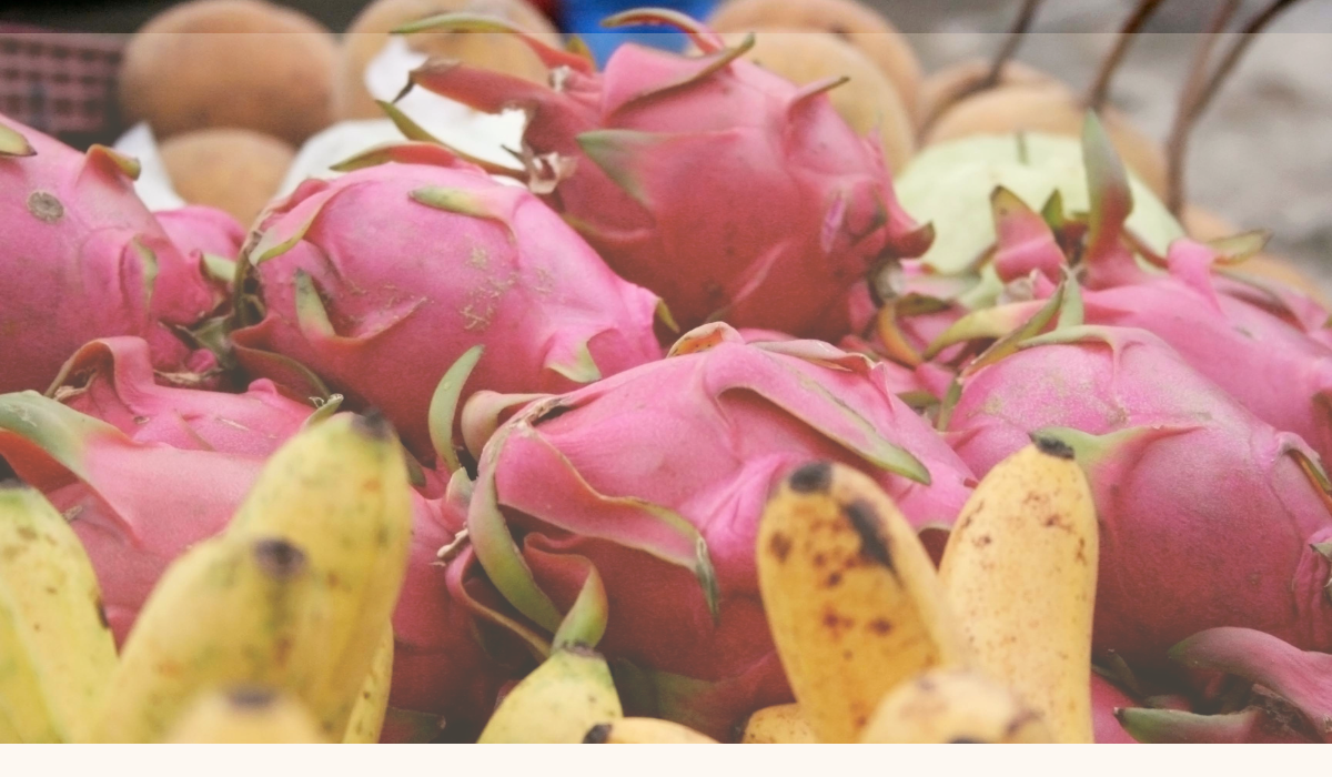 Dragon fruit Benefits in Hindi